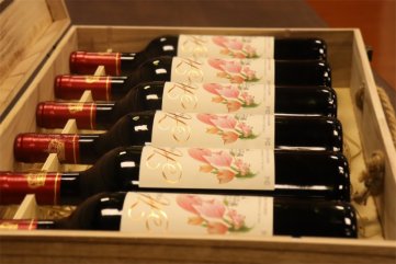 代理哪种法国进口红酒宅男视频成人APP适合